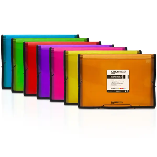 CLASIFICADOR FOLIO FUCIA TRASLUCIDO PP C/RIBETE 