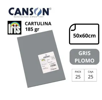 CARTULINA CANSON IRIS  50×65CM 185 GRAMOS GRIS PLOMO