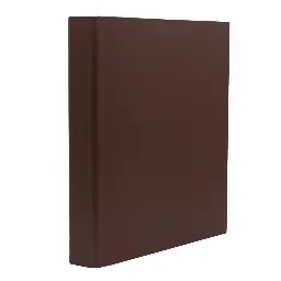 Carpeta Raylu Paper Folio 2 Anillas 25 Mm Amarillo Cartón Forrado Pp