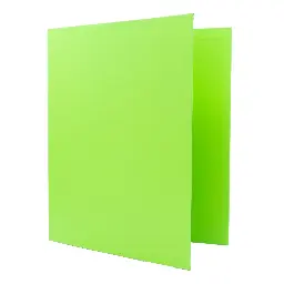 Carpeta Raylu Paper Folio 2 Anillas 25 Mm Verde Claro Cartón Forrado Pp