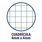 Cuaderno Fº Espiral 80hj. Cuadro 4mm-Xxi