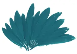 Plumas Indio Azul 25mmx140mm.60ud