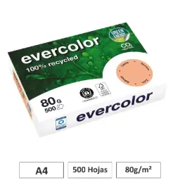 Papel Salmon A4 80g 500 Hojas