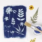 Papel Cianotipia A4 (Impresion Solar)