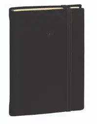 Agenda 12 Meses Daily 17 2027 Multilingüe Silk 1 Día Página 12x17cm, Negro