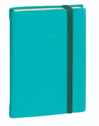 Agenda 12 Meses Daily 17 2027 Multilingüe Silk 1 Día Página 12x17cm, Turquesa