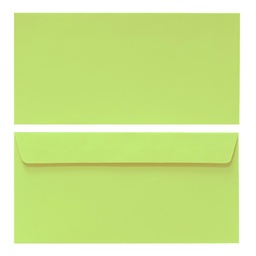Sobre 110x220 Verde Medio 20 Uds