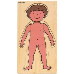 Puzzles descubrimiento del cuerpo (340 × 190 × 8 mm)