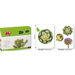 Zoom - El mundo vegetal