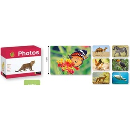 Caja de fotoimágenes - Animales