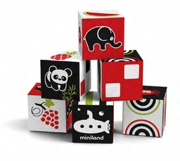 First senses: 6 cubes set