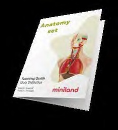 Set anatomia 11 pcs
