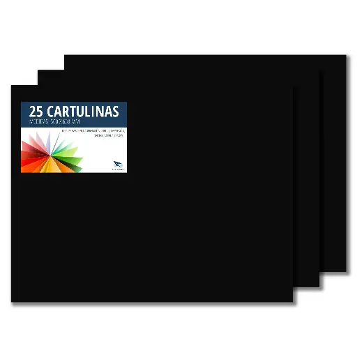 [630506] CARTULINA RAYLU  50×65CM 180 GRAMOS NEGRA