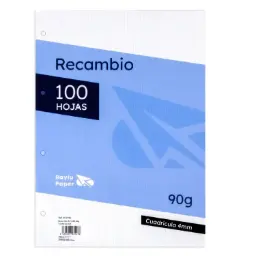 Recambio A4 100 Hojas 90 Gramos Cuadro 4mm Raylu