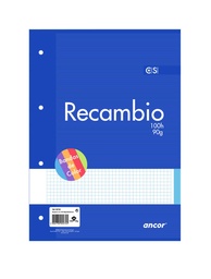 Recambio A4 100 Hojas 90 Gramos Cuadro 4mm 5 Colores Raylu