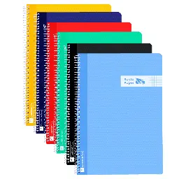 Bloc Espiral A4 Tapa Plastico 80 Hojas 90 Gramos Cuadro 3mm Raylu
