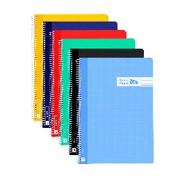 Bloc Espiral A5 Tapa Plastico 80 Hojas 90 Gramos Horizontal Raylu