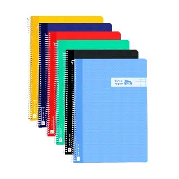 Bloc Espiral A5 Tapa Plastico 80 Hojas 90 Gramos Cuadro 5mm Raylu
