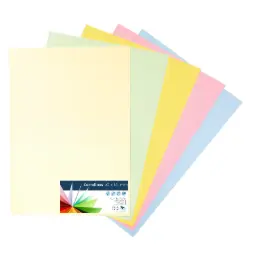 CARTULINAS RAYLU COLORES PASTEL SURTIDOS 50x65CM 180 GRAMOS PACK 25 HOJAS RAYLU