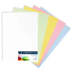 CARTULINAS RAYLU COLORES PASTEL SURTIDOS 50x65CM 180 GRAMOS PACK 5 HOJAS RAYLU