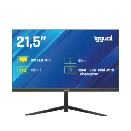 Monitor Iggual 21,5" Ips 1 Ms Fhd 100 Hz Vga Hdmi Dp – Ml21s