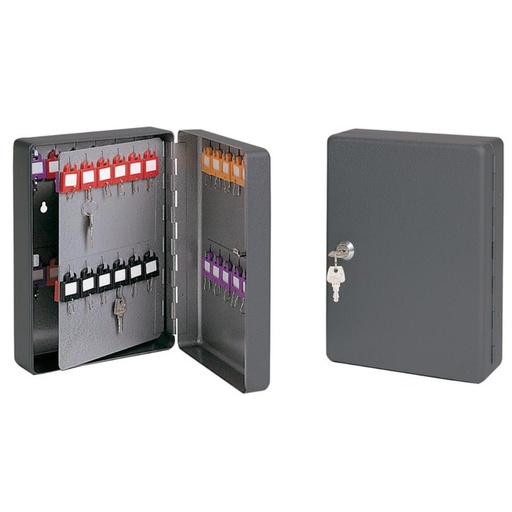 [260122] ARMARIO DE LLAVES 45 POSICIONES (METÁLICO, CERRADURA, 30 × 24,5 × 7,5 CM)